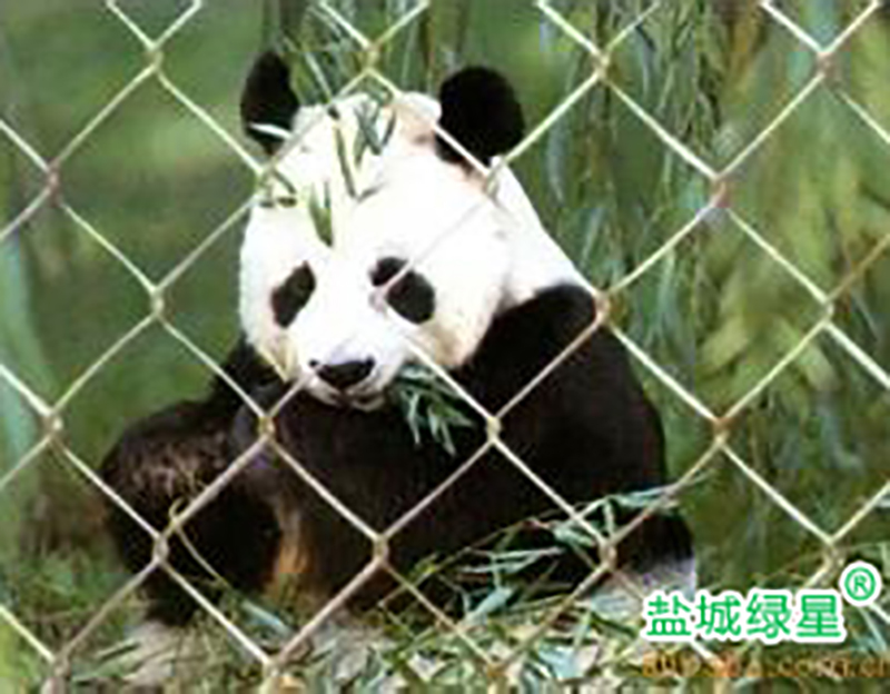柳州优良阳台安全护栏厂家